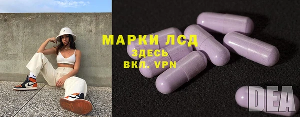 ГАЛЛЮЦИНОГЕННЫЕ ГРИБЫ Дмитриев