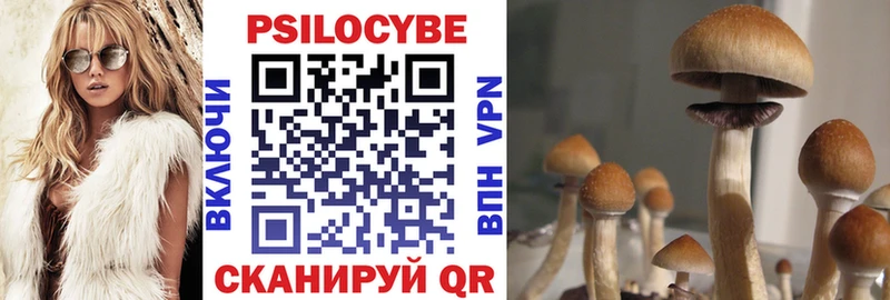 Псилоцибиновые грибы Psilocybe  Пойковский 